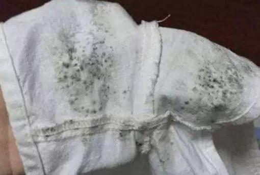 梅雨季家里潮湿到发霉,梅雨天墙角发霉