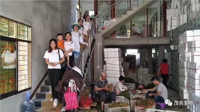 楂樺窞鑽旀灊鐢靛晢,楂樺窞鑽旀灊鐢靛晢甯傚満钀ラ攢鏂规