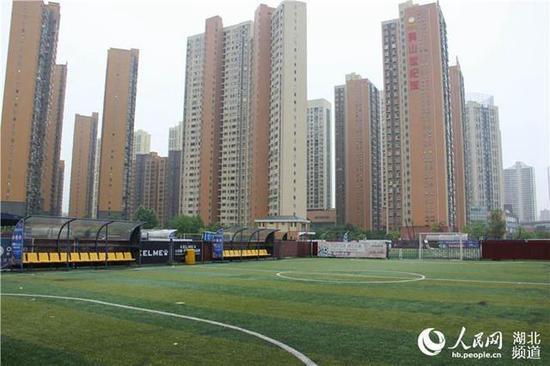 男子花50万改造荒凉小院,男人花千万改造废弃城堡