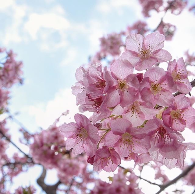 备孕期间感冒了还可以做试管吗,备孕期间感冒还能照常备孕吗