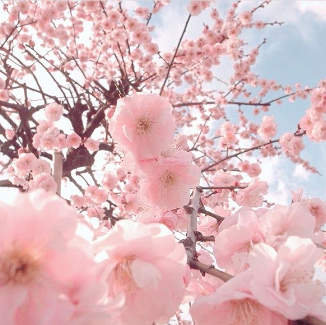 备孕期间感冒了还可以做试管吗,备孕期间感冒还能照常备孕吗