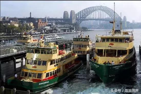 kevin马老师谈留学,kevin老师讲留学