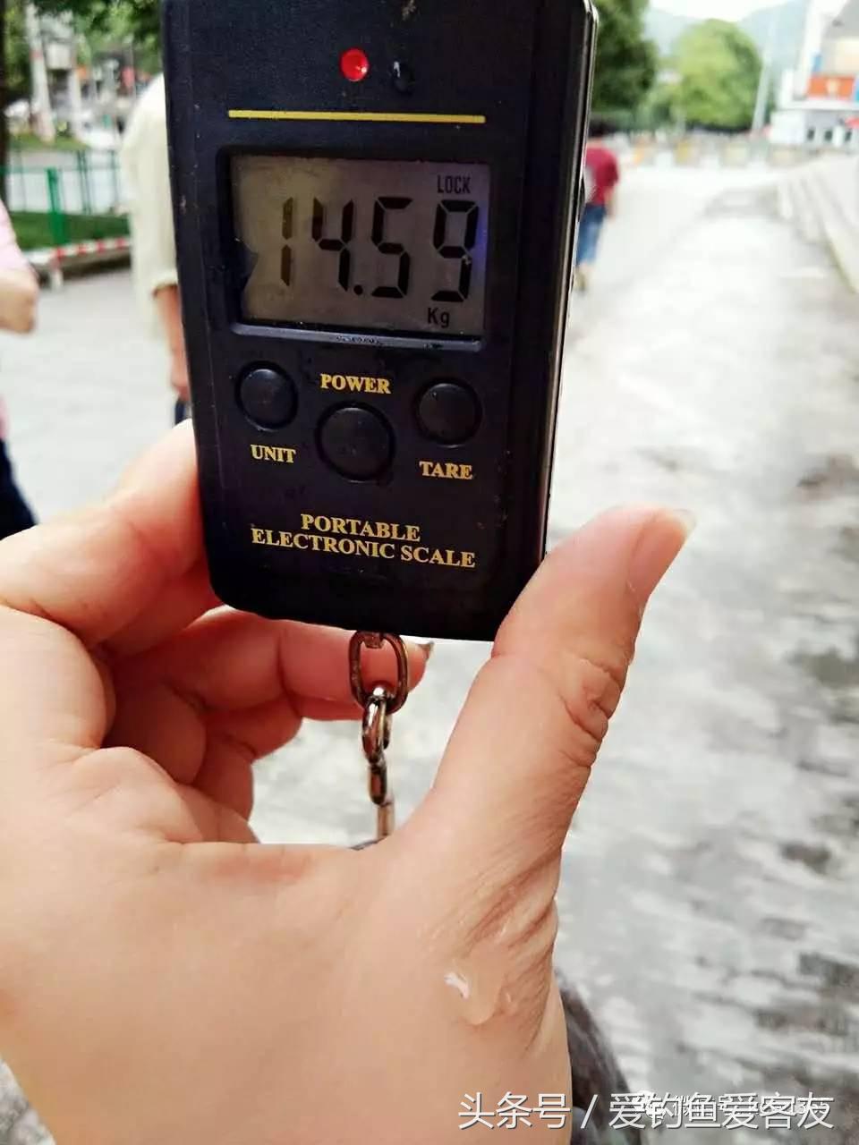 客友华夏鲤7号怎么样,客友华夏鲤鱼竿