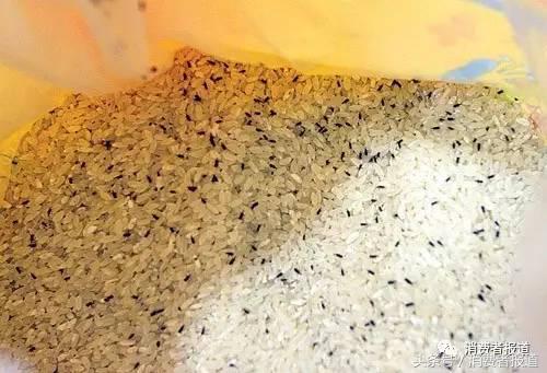 大米的种类及区别,大米的知识您到底了解多少