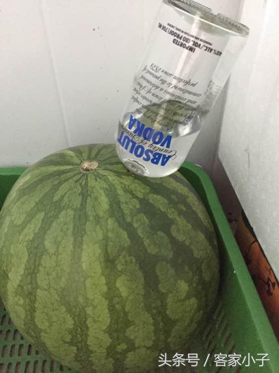 西瓜的创意吃法视频,西瓜新吃法看着就过瘾忍不住想吃