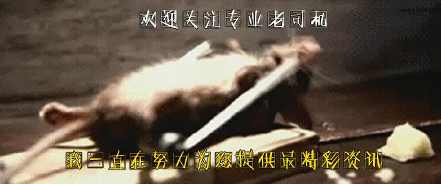 民间鬼故事算命先生闹鬼,阴间灵异故事大全