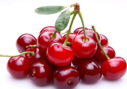 捕获迷之小屁屁一对,尝尝味道还不错