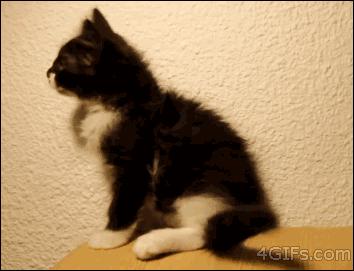 轻松一刻应该怎么做,轻松一刻到底重点在哪里