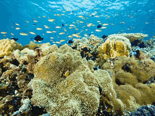 莆田首家智能化海洋体验馆,莆田海洋文化主题体验馆