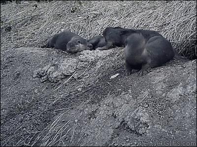 轻松一刻应该怎么做,轻松一刻到底重点在哪里