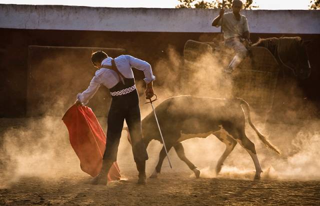 新西兰西班牙斗牛,西班牙杀斗牛
