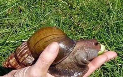 为什么用很多面膜不白,为什么以前用面膜好现在不好了