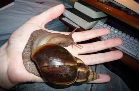 为什么用很多面膜不白,为什么以前用面膜好现在不好了