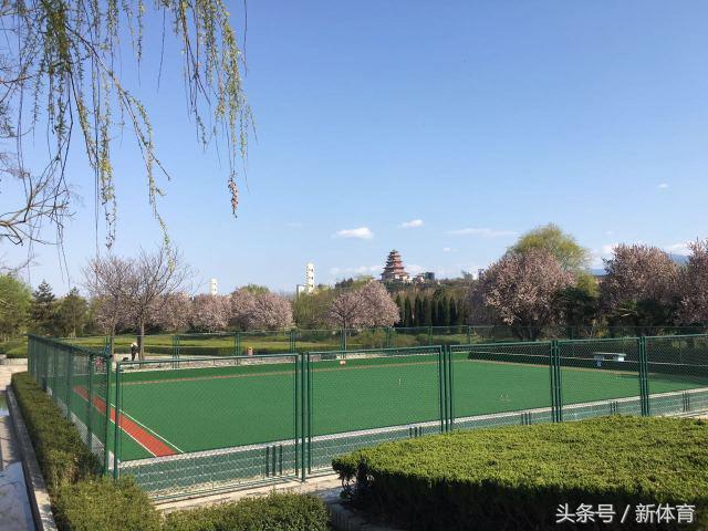 2020年全民健身活动情况报告,全民健身实施计划评估报告