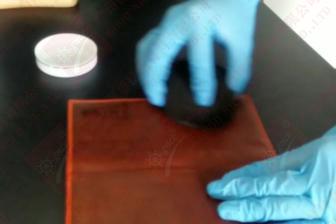 皮夹克发霉怎么洗掉霉斑,皮夹发霉怎么去除