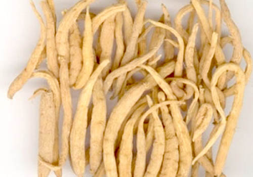 同样是参，人参、沙参、太子参、*党**参，你都知道补什么么？