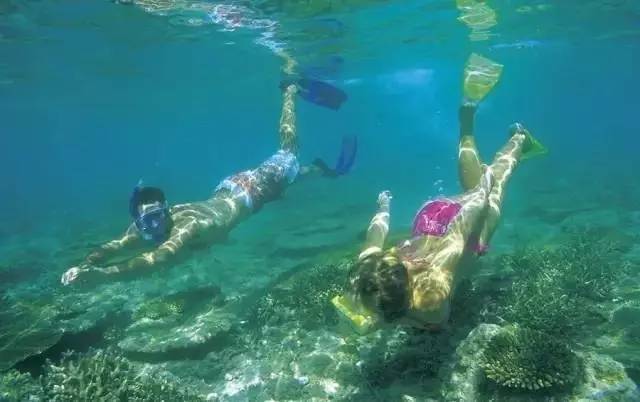 澳洲旅游推荐学生避暑,暑假澳大利亚黄金海岸