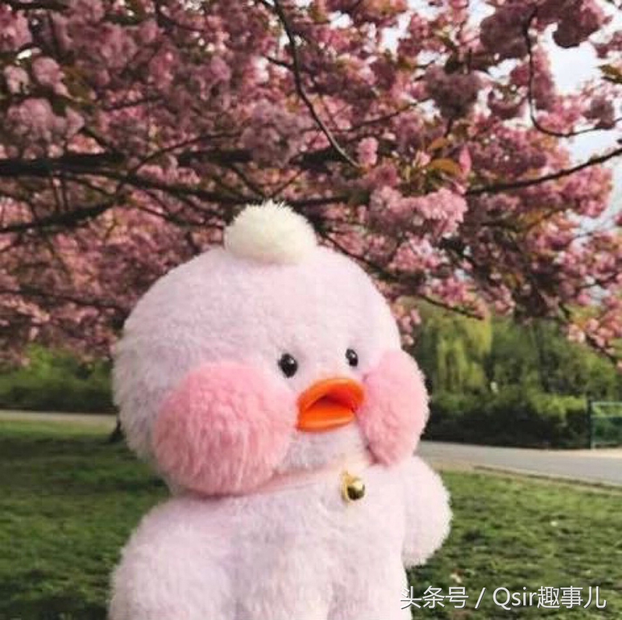 搞笑图集(7)-玻尿酸打多了怎么办?那就来当表情包新星啊