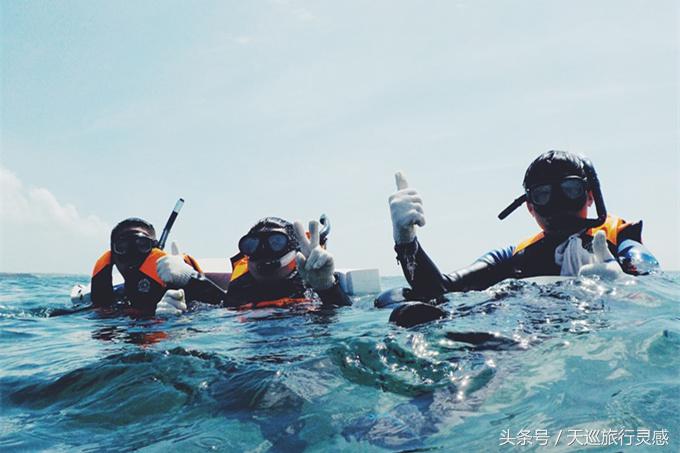 高考结束送一支向日葵,高考结束后送孩子一场旅行吧