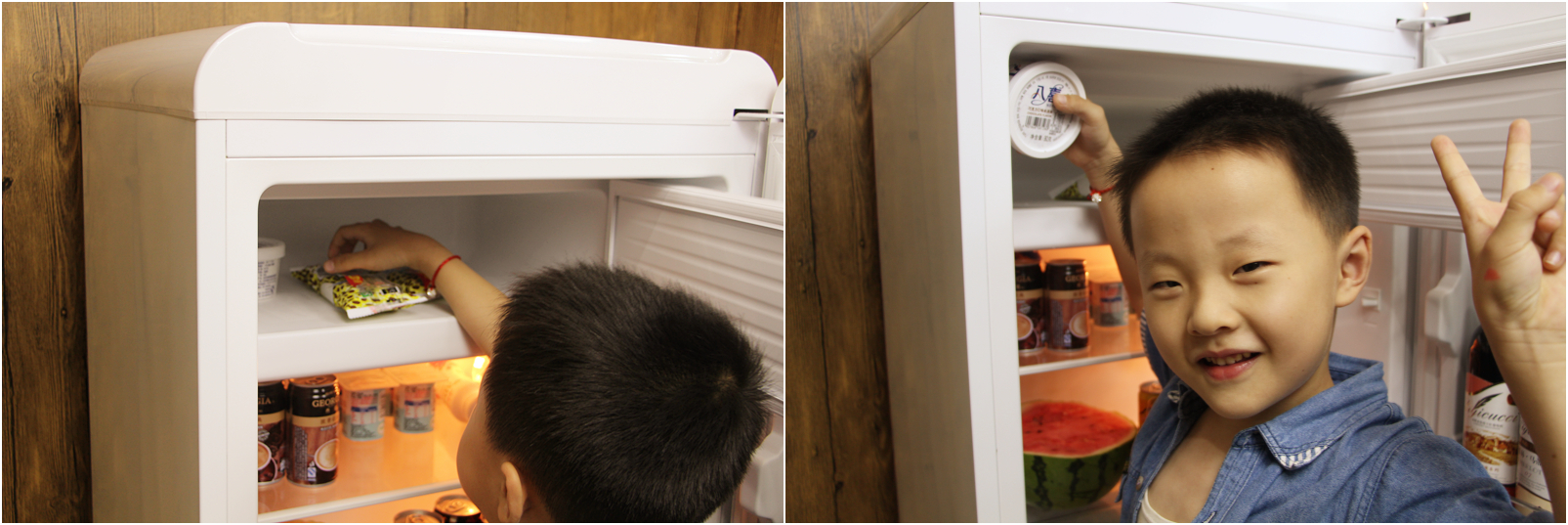 复古小冰箱哪个品牌好用性价比高,双门复古小冰箱测评