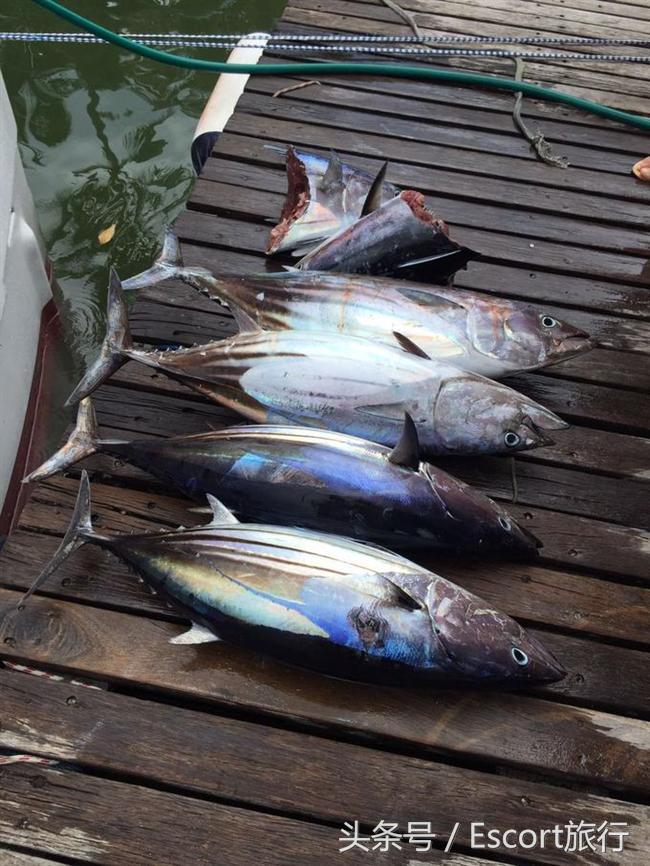 旅游景点攻略毛里求斯,分手大师毛里求斯取景酒店