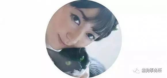 为什么猫可以让一个人的心情变好,猫能使人成熟的从来不是岁月