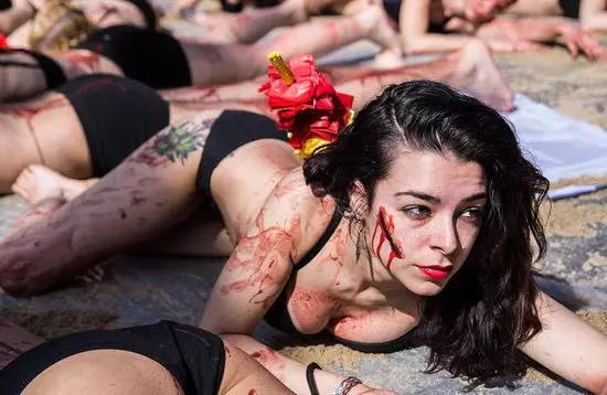 新西兰西班牙斗牛,西班牙杀斗牛