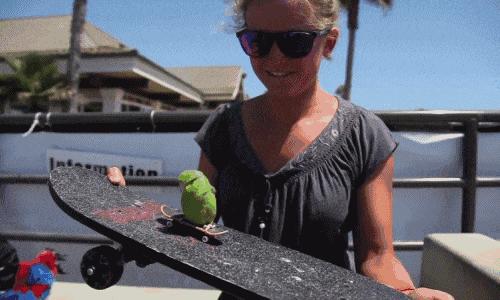 节操碎了：儿子的作文是《美女班长居然对我做出这样的事!》