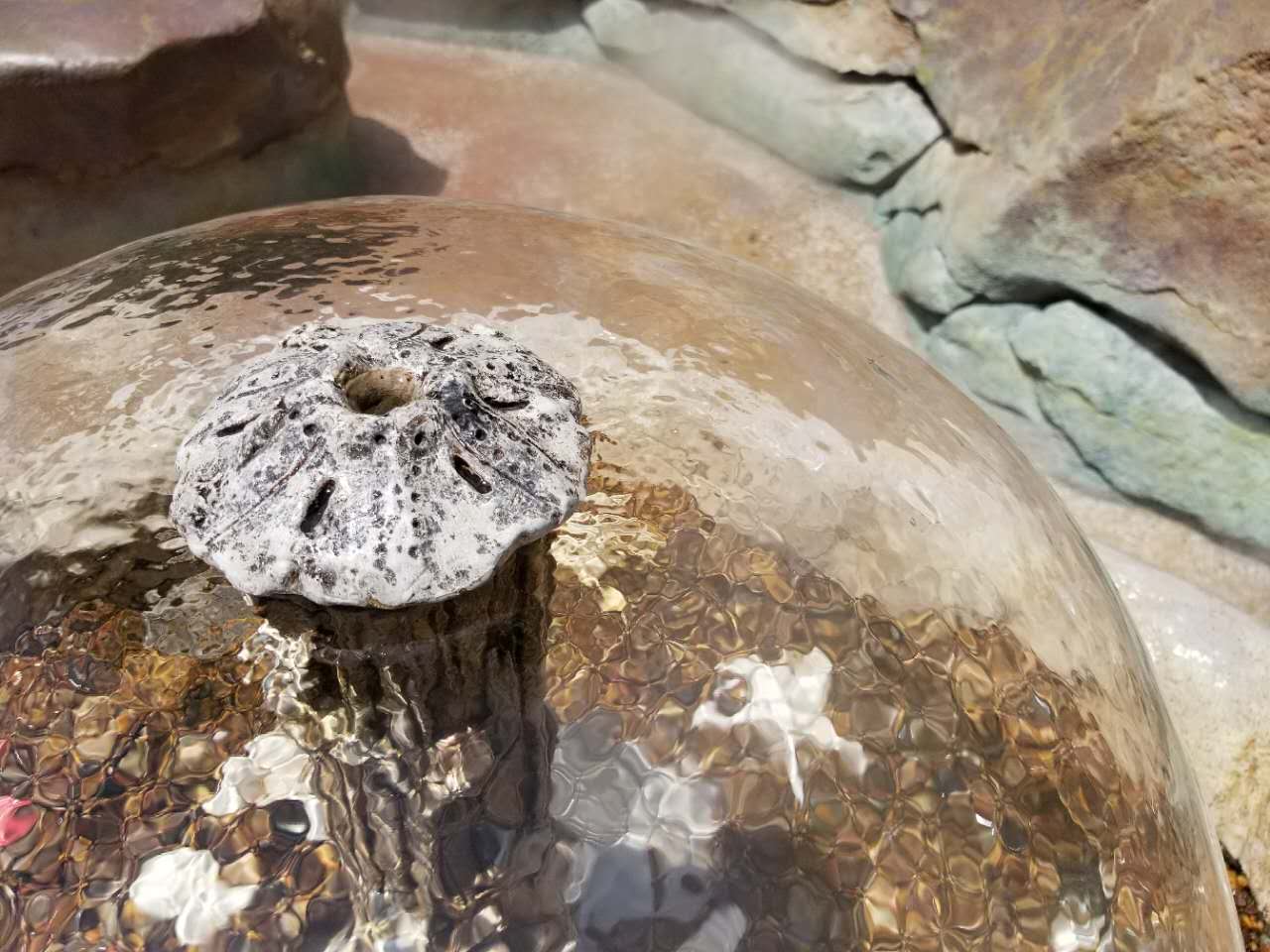 三星galaxys8怎么拍夜景,三星galaxys8有多惊艳