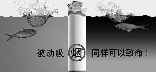 被二手烟侵害由哪个部门解决,与烟酒无缘了