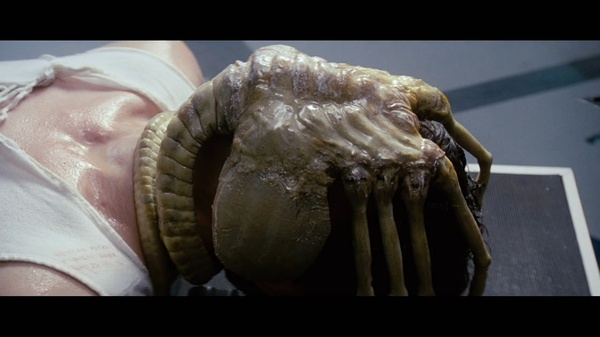 异形契约深度剖析,异形契约深度解析图