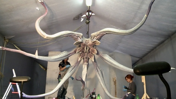 异形契约深度剖析,异形契约深度解析图