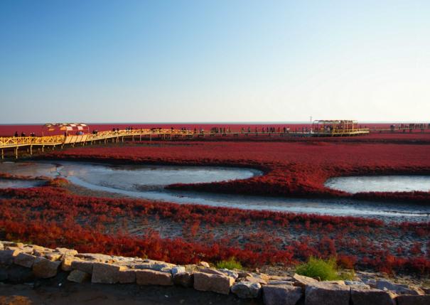 辽宁大连是东北最有活力的城市吗,辽宁最富的城市是大连吗