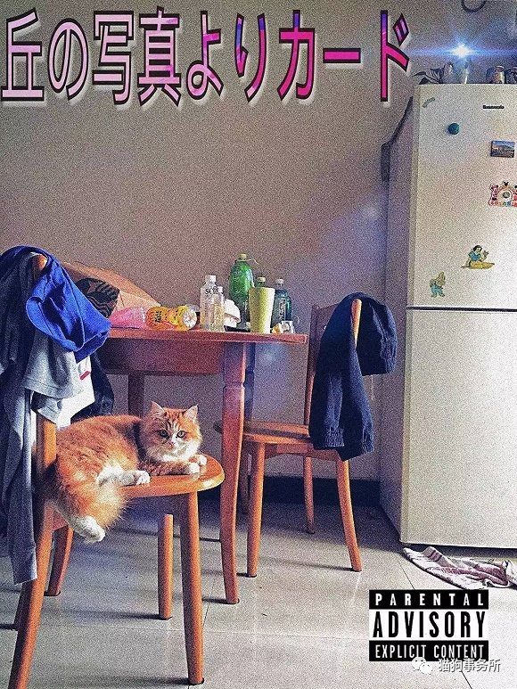 为什么猫可以让一个人的心情变好,猫能使人成熟的从来不是岁月