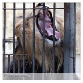 看图猜成语第二题真的很难求答案,看图猜成语最难答题的一个答案