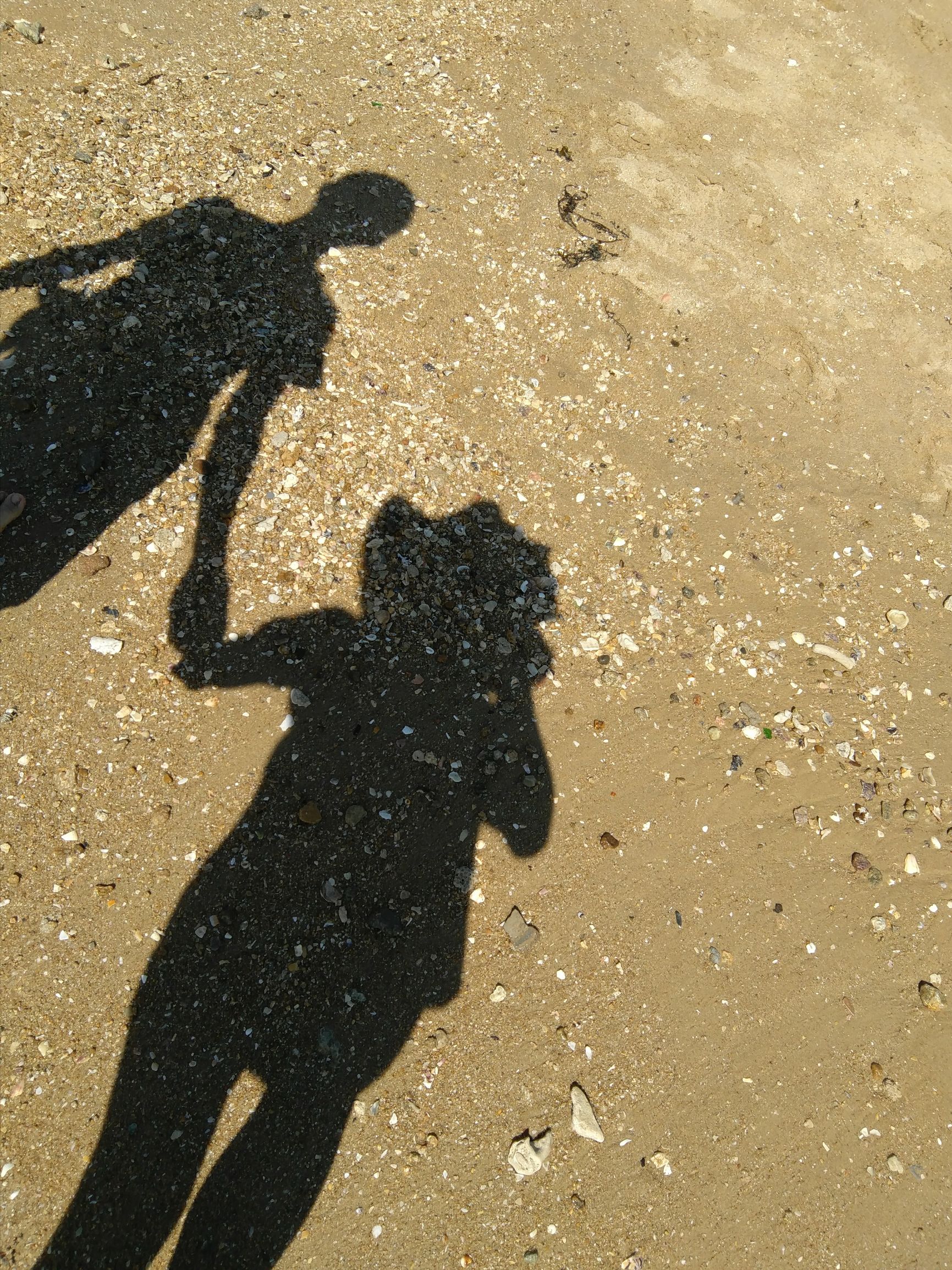 说走就走的旅行之三亚篇,说走就走的旅行vlog三亚主播