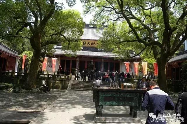 最好的风景在路上正文:查君书《寄情西子湖畔》