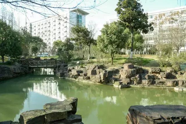 邂逅苏农,苏农视频