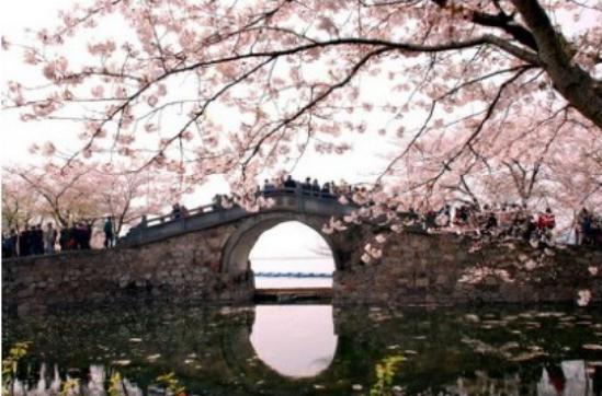 无锡旅游攻略必去的地方,无锡旅游必去的地方推荐