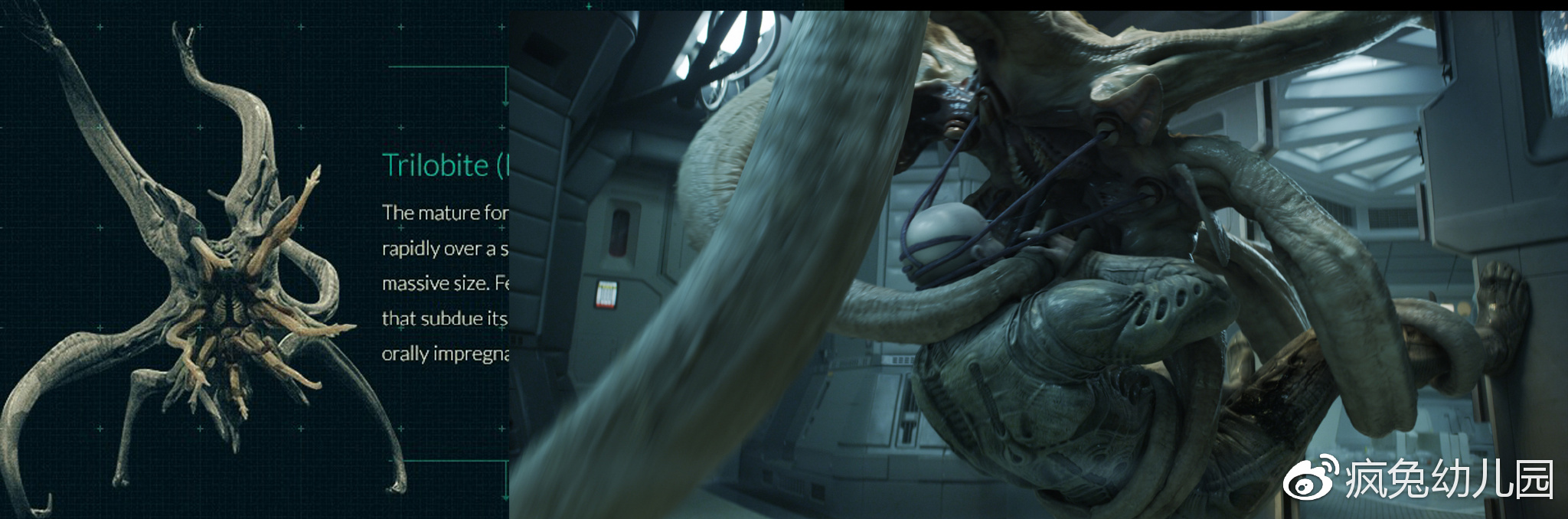 看异形整个系列顺序,想看懂异形先看哪一部