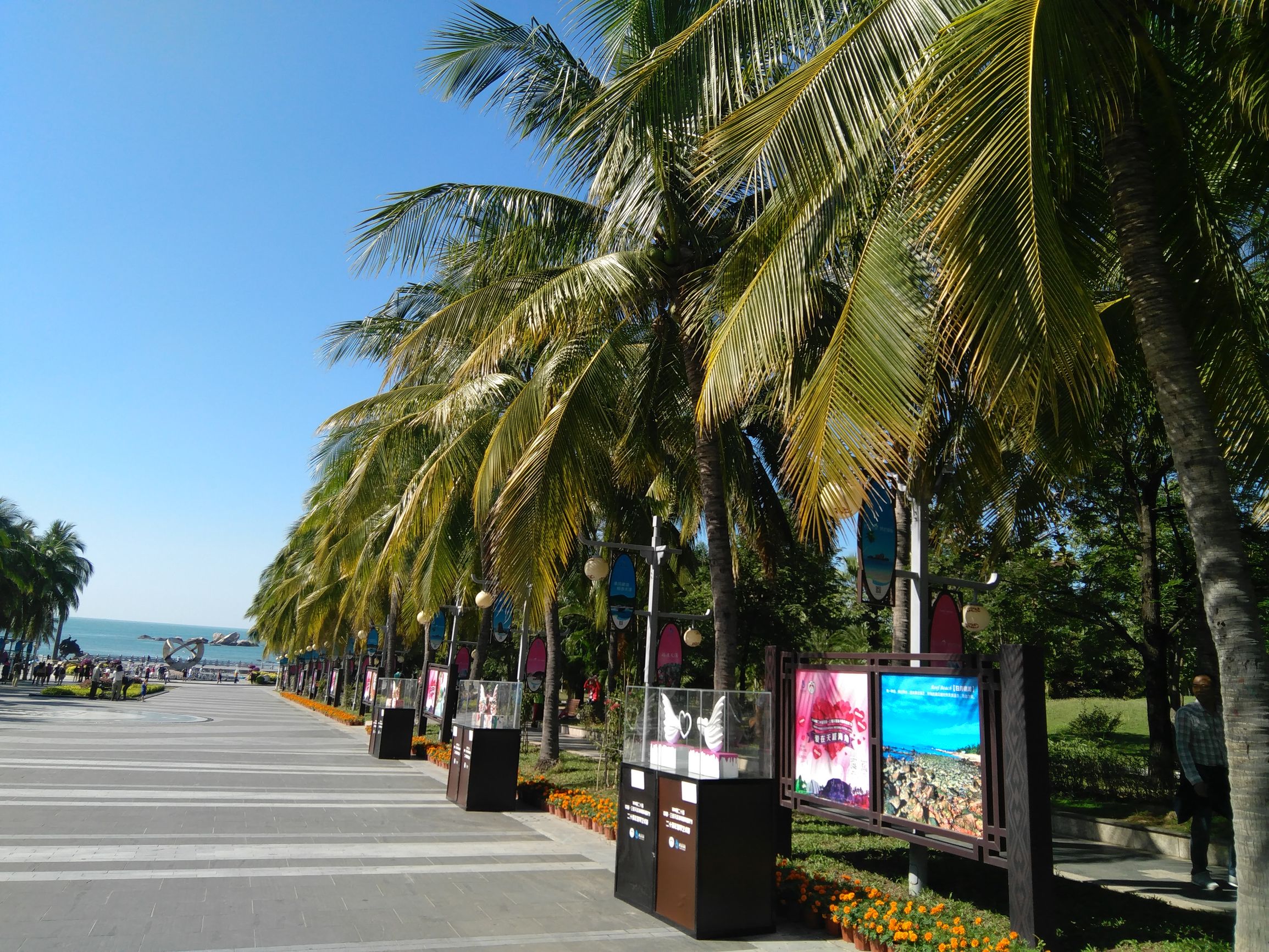 说走就走的旅行之三亚篇,说走就走的旅行vlog三亚主播