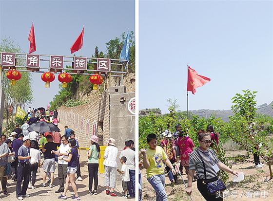行走在乡野的路上,行走在山野乡间