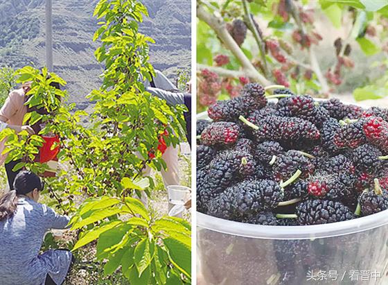 行走在乡野的路上,行走在山野乡间
