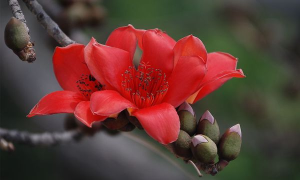 怎样才能找到合适自己的化妆品,怎样可以找到适合自己的化妆品