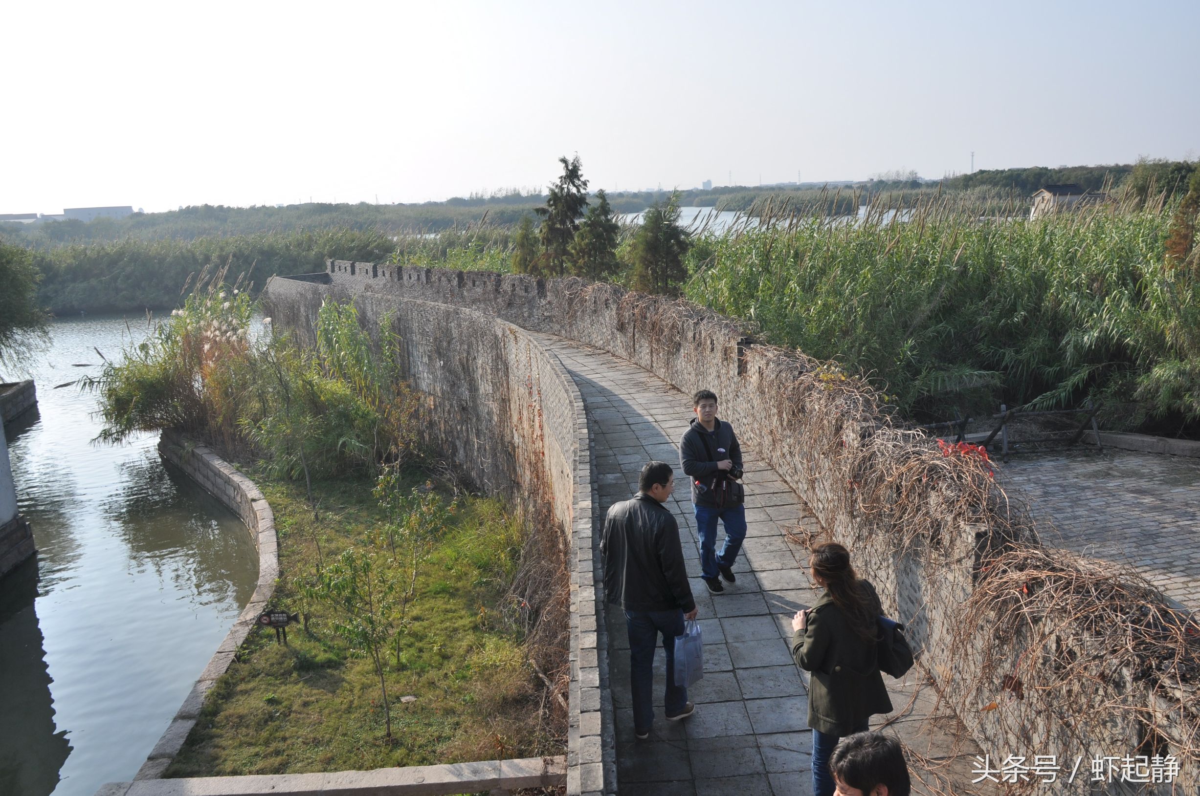沙家浜芦苇荡风景区民宿价格,沙家浜故事原型芦苇荡在哪里