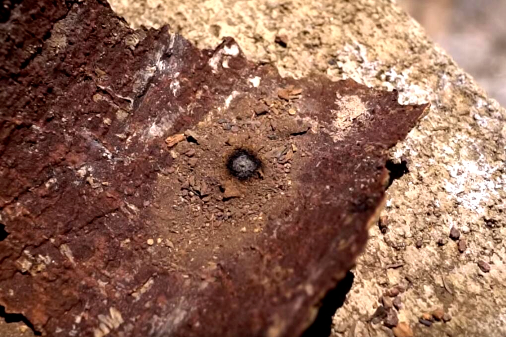 野外求生必备技巧技能,野外求生各种实用道具