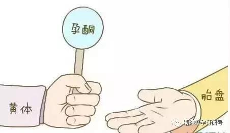 怀孕为什么要检查雌二醇和孕酮,怀孕为什么查hcg和绒毛