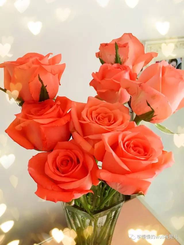 我一见你就笑,这些东西让你心情瞬间变好哟|慢慢的6月好物推荐