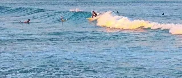 周忠专栏｜腾讯家居、新浪家居、搜狐焦点家居、网易家居，我心目中的四大家居门户