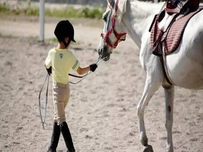 仅3%的人知道马术治疗的神奇之处